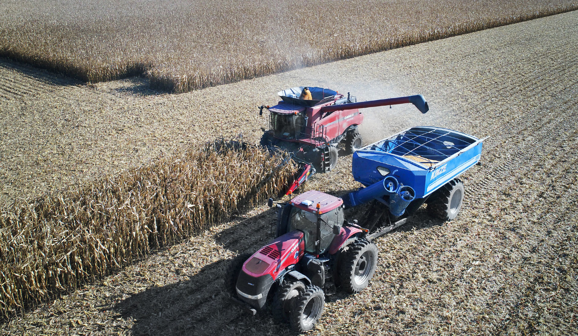 191105_HARVEST04